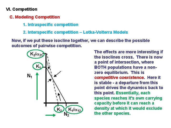 VI. Competition C. Modeling Competition 1. Intraspecific competition 2. Interspecific competition – Lotka-Volterra Models