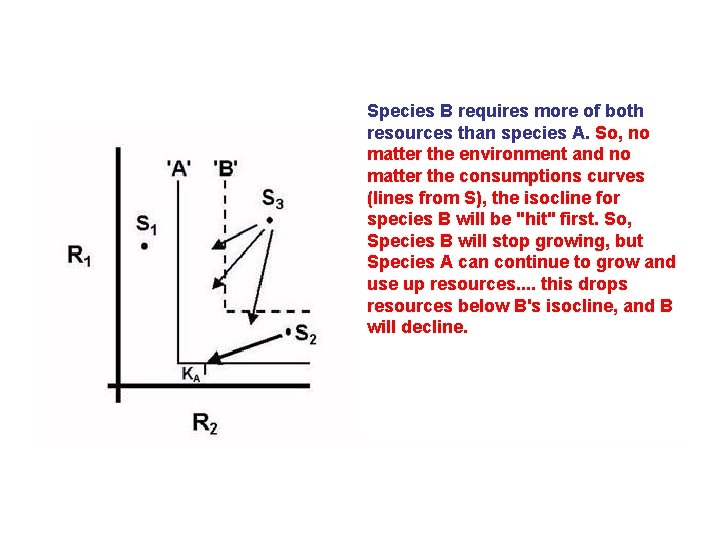  Species B requires more of both resources than species A. So, no matter