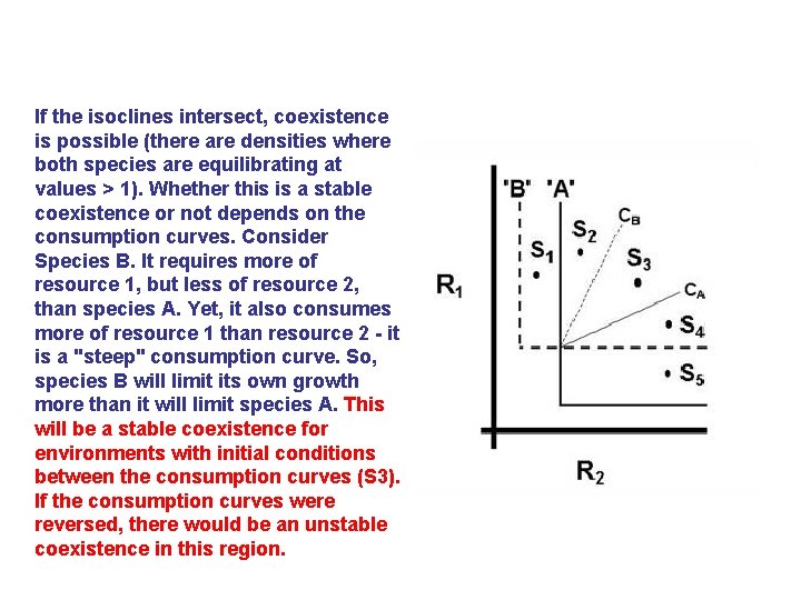  If the isoclines intersect, coexistence is possible (there are densities where both species