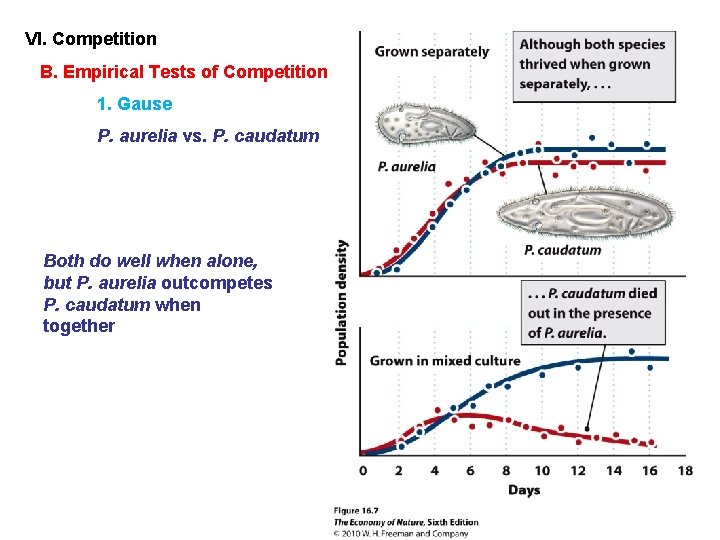 VI. Competition B. Empirical Tests of Competition 1. Gause P. aurelia vs. P. caudatum