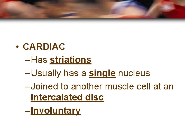  • CARDIAC – Has striations – Usually has a single nucleus – Joined