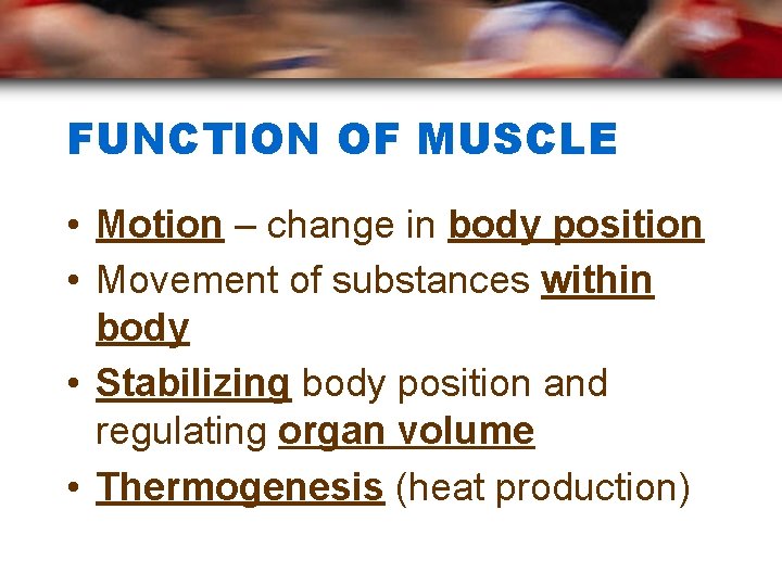 FUNCTION OF MUSCLE • Motion – change in body position • Movement of substances