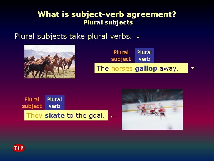What is subject-verb agreement? Plural subjects take plural verbs. Plural subject Plural verb The