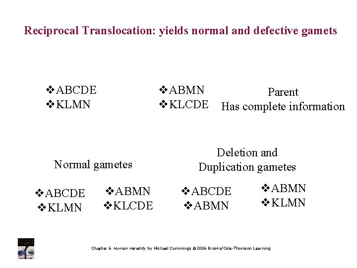 Reciprocal Translocation: yields normal and defective gamets v. ABCDE v. KLMN v. ABMN v.