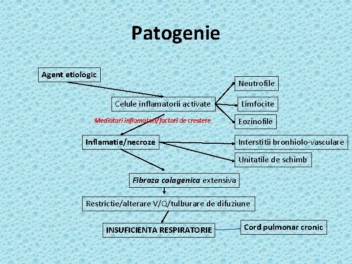 Patogenie Agent etiologic Neutrofile Celule inflamatorii activate Limfocite Mediatori inflamatori/factori de crestere Eozinofile Inflamatie/necroze