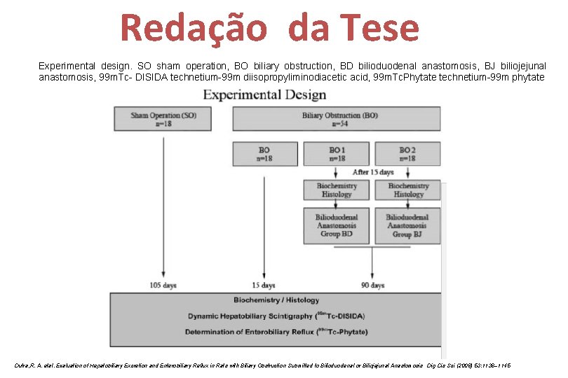 Redação da Tese Experimental design. SO sham operation, BO biliary obstruction, BD bilioduodenal anastomosis,