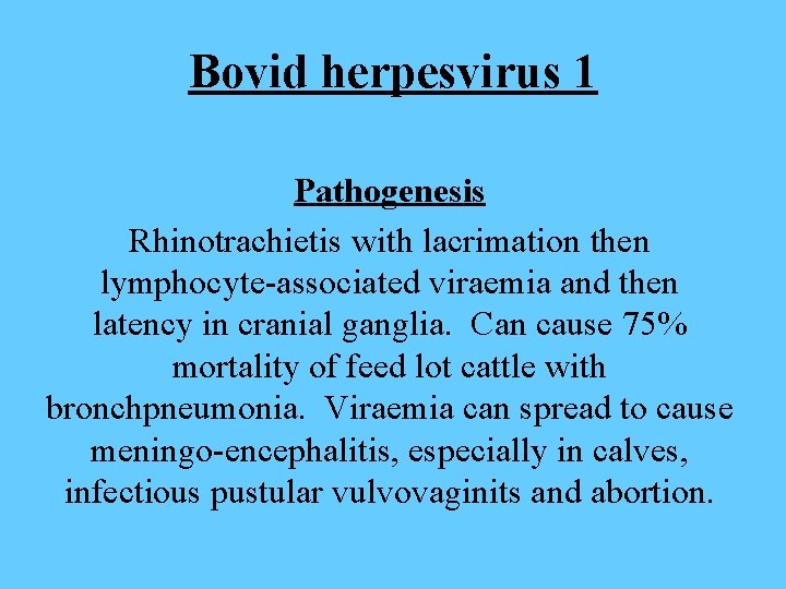 Bovid herpesvirus 1 Pathogenesis Rhinotrachietis with lacrimation then lymphocyte-associated viraemia and then latency in