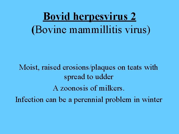Bovid herpesvirus 2 (Bovine mammillitis virus) Moist, raised erosions/plaques on teats with spread to