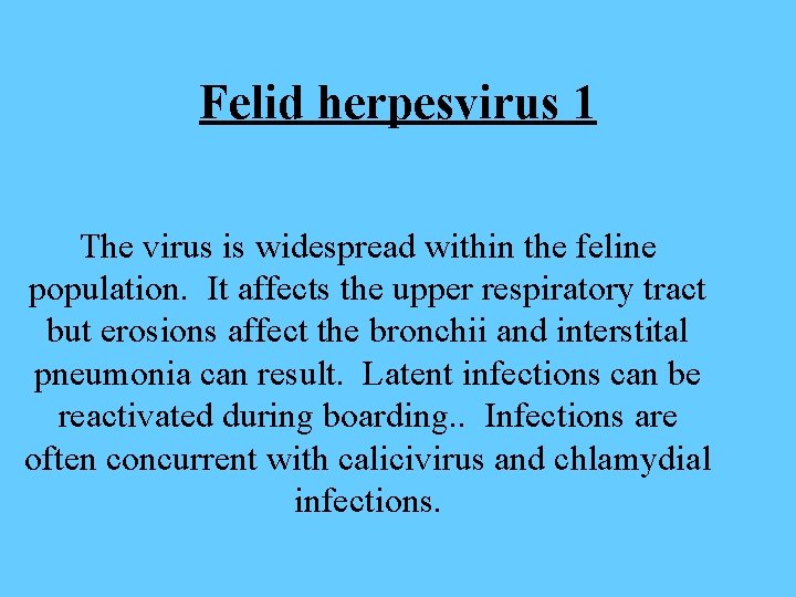 Felid herpesvirus 1 The virus is widespread within the feline population. It affects the