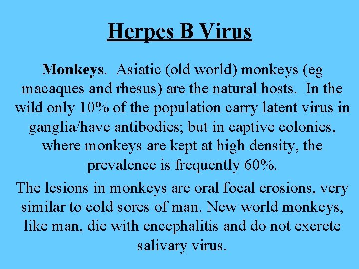 Herpes B Virus Monkeys. Asiatic (old world) monkeys (eg macaques and rhesus) are the