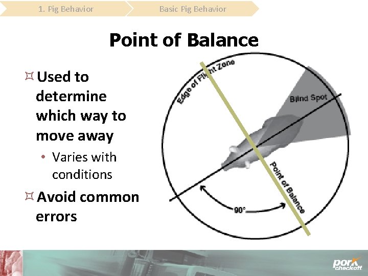 Basic Pig Behavior 1. Pig Behavior Point of Balance Used to determine which way