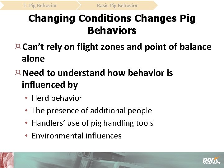 1. Pig Behavior Basic Pig Behavior Changing Conditions Changes Pig Behaviors Can’t rely on