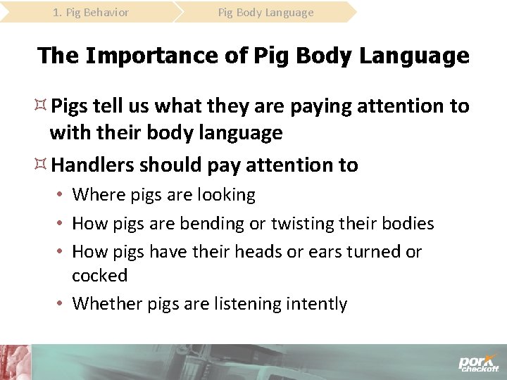 1. Pig Behavior Pig Body Language The Importance of Pig Body Language Pigs tell