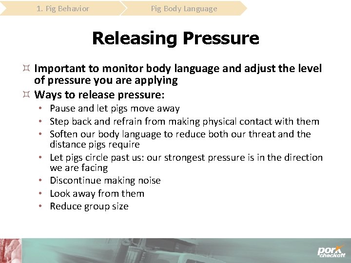 1. Pig Behavior Pig Body Language Releasing Pressure Important to monitor body language and