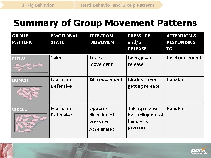 1. Pig Behavior Herd Behavior and Group Patterns Summary of Group Movement Patterns GROUP