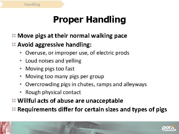 Handling Proper Handling Move pigs at their normal walking pace Avoid aggressive handling: •