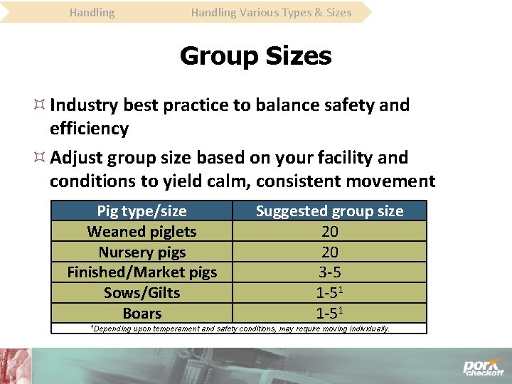 Handling Various Types & Sizes Group Sizes Industry best practice to balance safety and