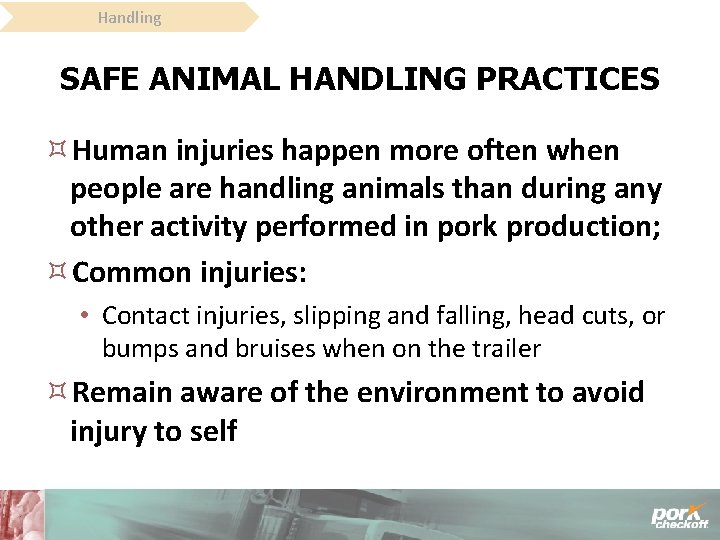 Handling SAFE ANIMAL HANDLING PRACTICES Human injuries happen more often when people are handling