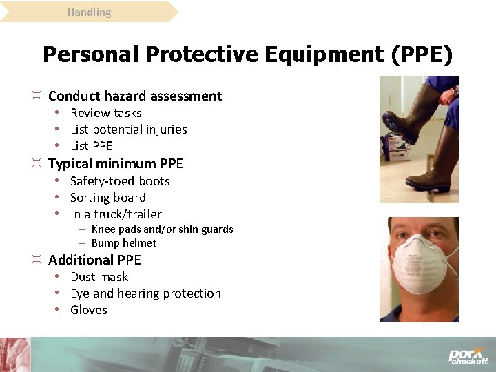 Handling Personal Protective Equipment (PPE) Conduct hazard assessment • Review tasks • List potential