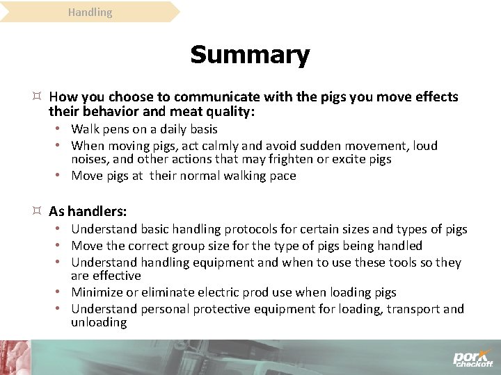Handling Summary How you choose to communicate with the pigs you move effects their