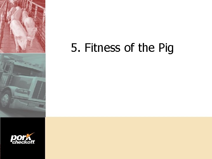 5. Fitness of the Pig 