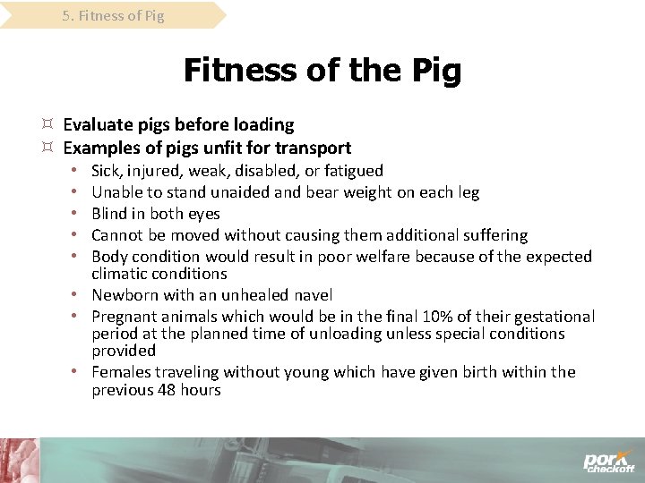 5. Fitness of Pig Fitness of the Pig Evaluate pigs before loading Examples of
