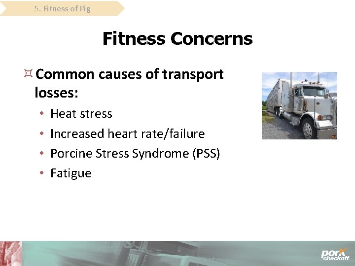 5. Fitness of Pig Fitness Concerns Common causes of transport losses: • • Heat