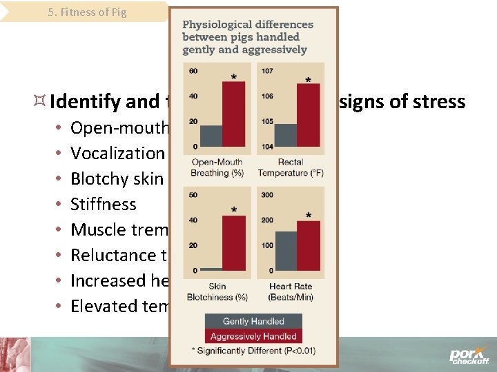 5. Fitness of Pig Stress Signs Identify and treat pigs showing signs of stress