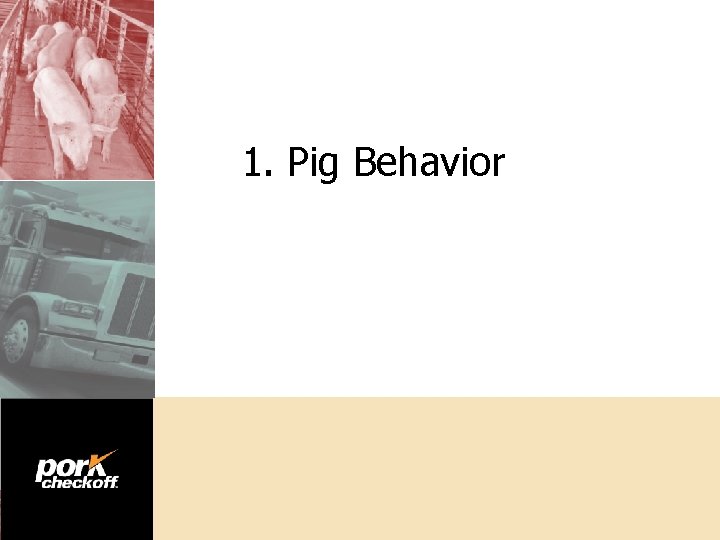 1. Pig Behavior 