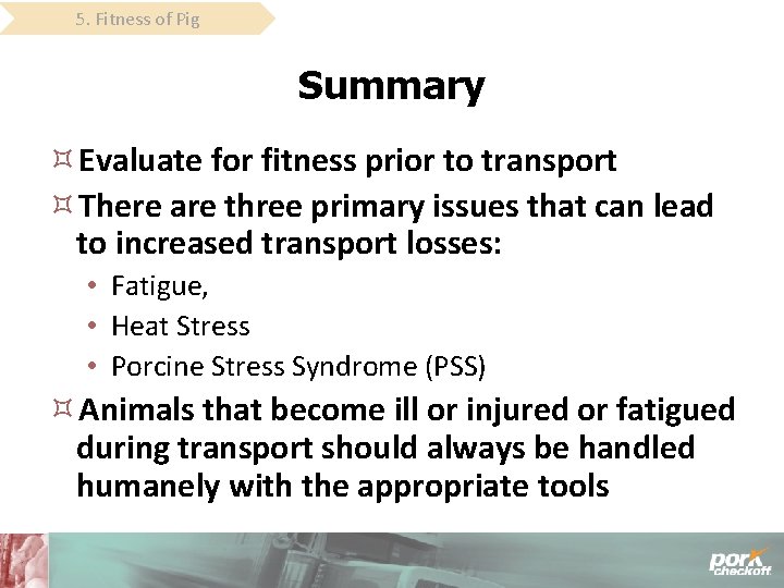 5. Fitness of Pig Summary Evaluate for fitness prior to transport There are three