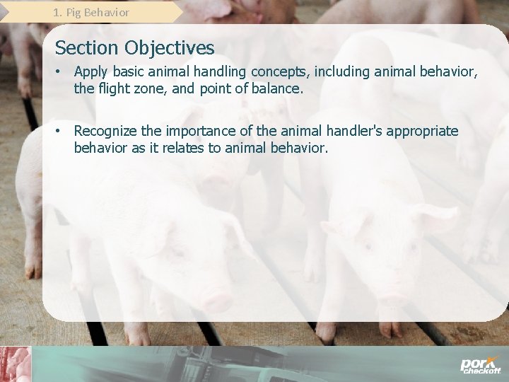 1. Pig Behavior Section Objectives • Apply basic animal handling concepts, including animal behavior,