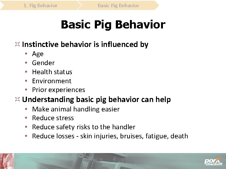 Basic Pig Behavior 1. Pig Behavior Basic Pig Behavior Instinctive behavior is influenced by