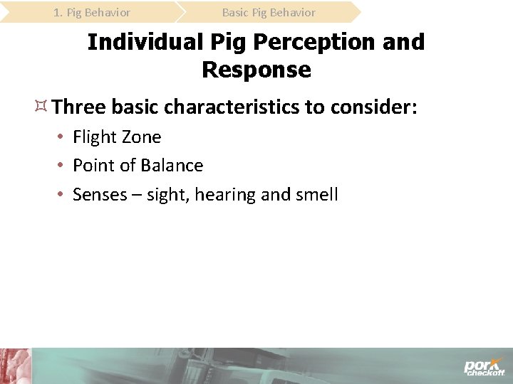 1. Pig Behavior Basic Pig Behavior Individual Pig Perception and Response Three basic characteristics