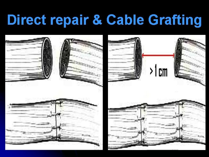 Direct repair & Cable Grafting 
