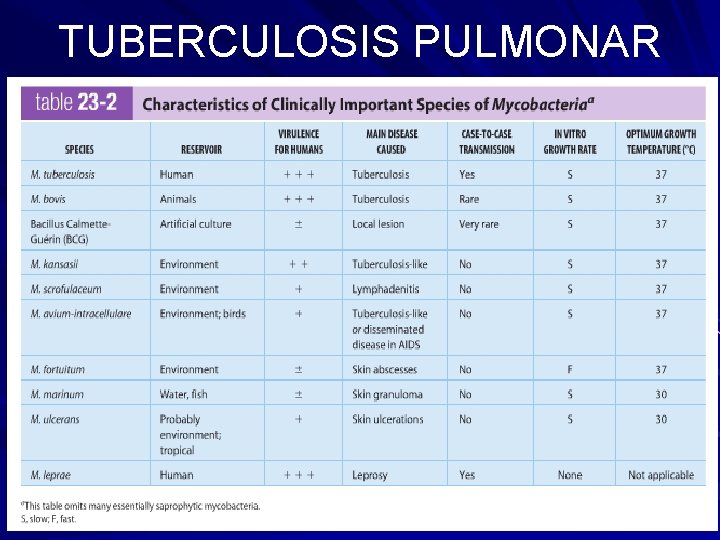 TUBERCULOSIS PULMONAR 