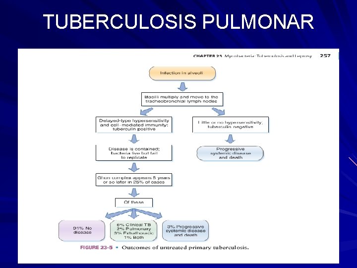 TUBERCULOSIS PULMONAR 