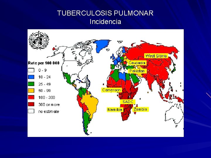 TUBERCULOSIS PULMONAR Incidencia 