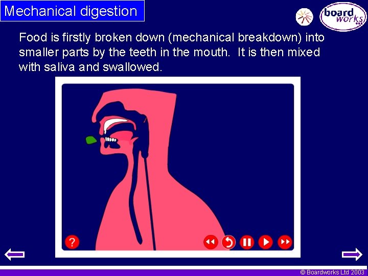 Mechanical digestion Food is firstly broken down (mechanical breakdown) into smaller parts by the