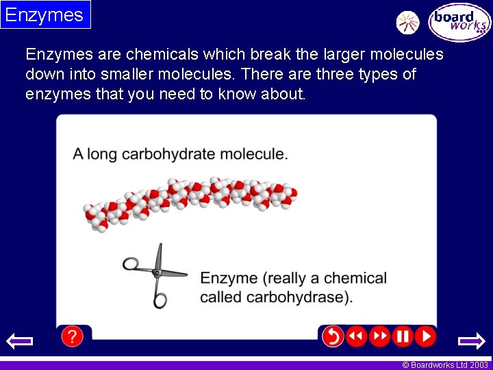 Enzymes are chemicals which break the larger molecules down into smaller molecules. There are