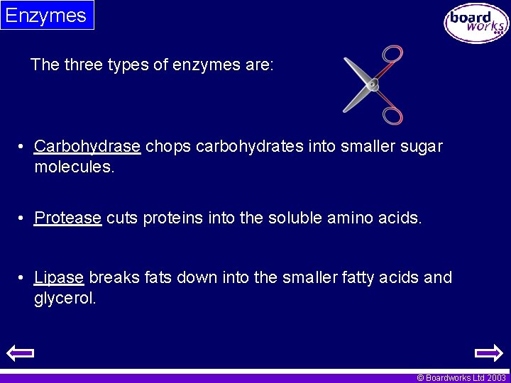 Enzymes The three types of enzymes are: • Carbohydrase chops carbohydrates into smaller sugar