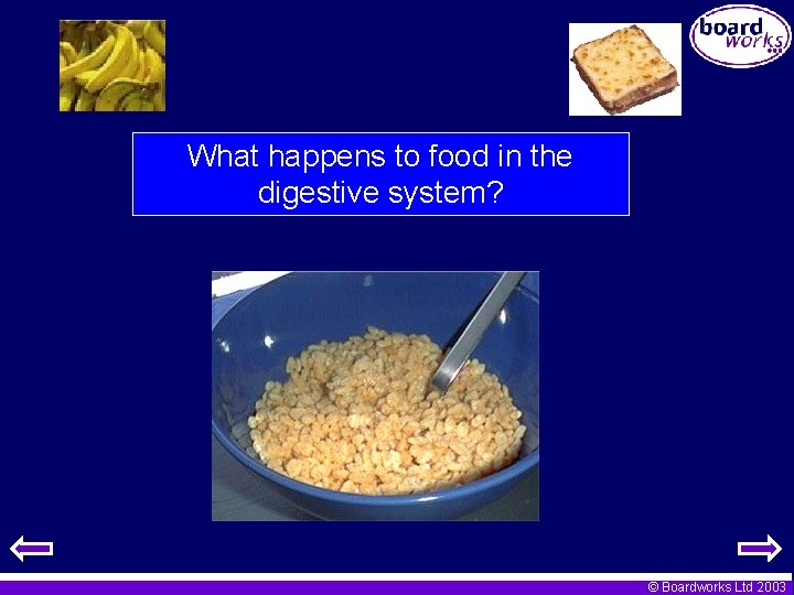 What happens to food in the digestive system? © Boardworks Ltd 2003 