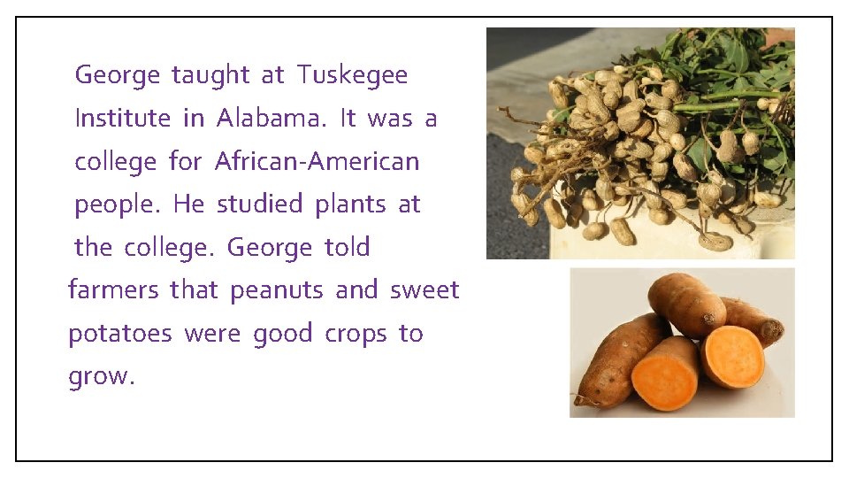  George taught at Tuskegee Institute in Alabama. It was a college for African-American