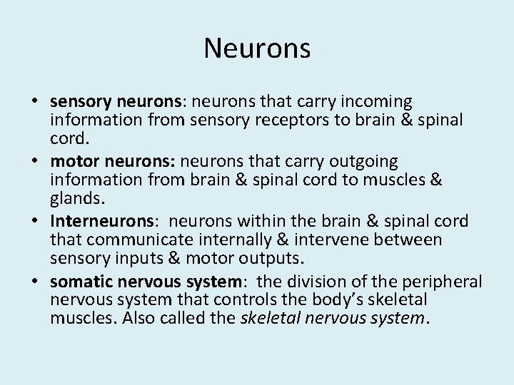 Neurons • sensory neurons: neurons that carry incoming information from sensory receptors to brain