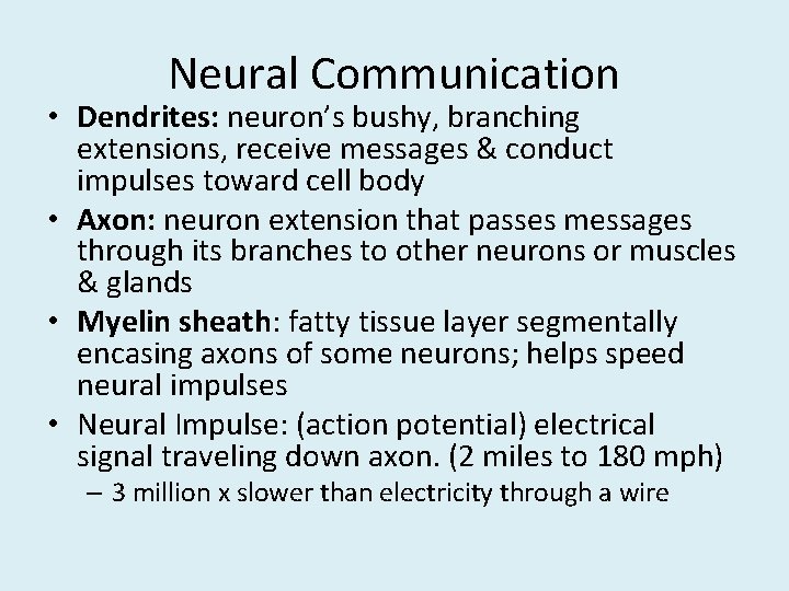 Neural Communication • Dendrites: neuron’s bushy, branching extensions, receive messages & conduct impulses toward