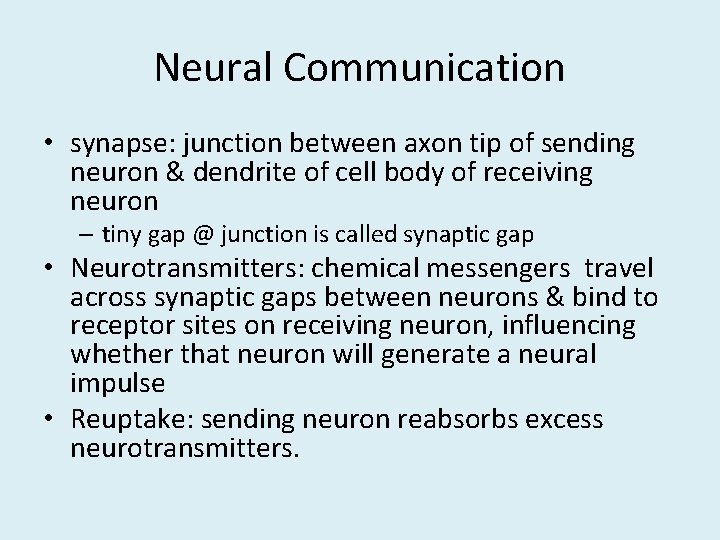 Neural Communication • synapse: junction between axon tip of sending neuron & dendrite of