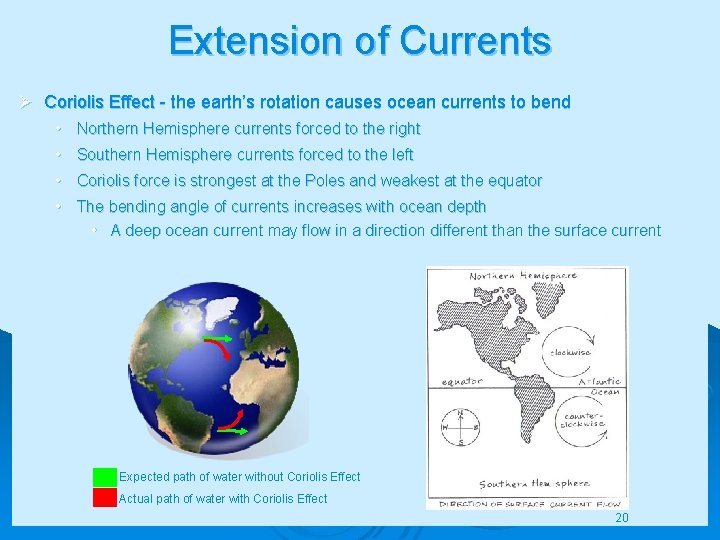 Extension of Currents Ø Coriolis Effect - the earth’s rotation causes ocean currents to