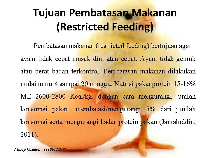 Tujuan Pembatasan Makanan (Restricted Feeding) Pembatasan makanan (restricted feeding) bertujuan agar ayam tidak cepat
