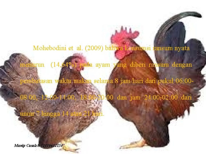 Mohebodini et al. (2009) bahwa konsumsi ransum nyata menurun (14, 64%) pada ayam yang