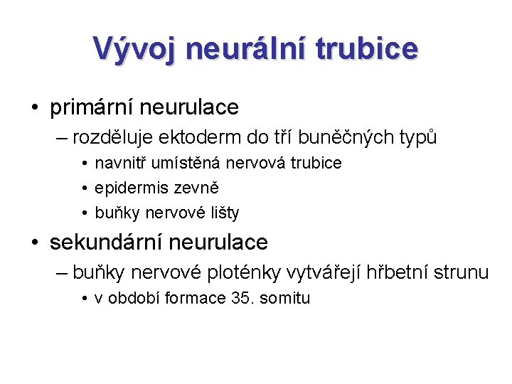 Vývoj neurální trubice • primární neurulace – rozděluje ektoderm do tří buněčných typů •