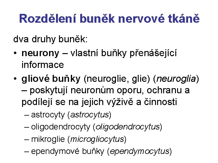 Rozdělení buněk nervové tkáně dva druhy buněk: • neurony – vlastní buňky přenášející informace